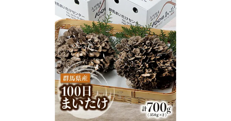 【ふるさと納税】100日まいたけ 350g×2箱【配送不可地域：離島・沖縄県】【1429408】