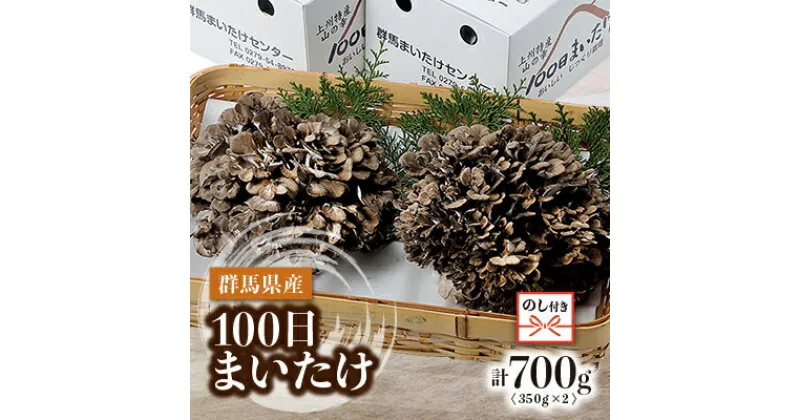 【ふるさと納税】【のし付き】100日まいたけ 350g×2箱【配送不可地域：離島・沖縄県】【1429419】