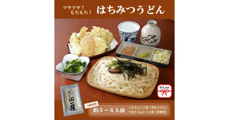 【ふるさと納税】【のし付き】はちみつうどん500g×2袋 約5～6人前(半生うどん)【1430844】