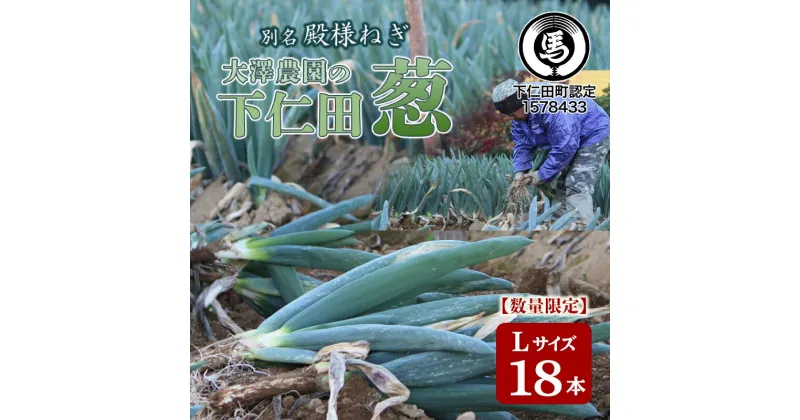 【ふるさと納税】別名“殿様ねぎ” 大澤農園の下仁田葱（L 18本） とろける 甘い ねぎ ネギ 王様ねぎ 殿様ねぎ 特産 栄養たっぷり ブランド 上州ねぎ すきやき F21K-020