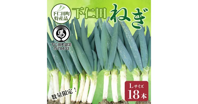 【ふるさと納税】下仁田町特産「下仁田ねぎ」Lサイズ 18本 小箱 とろける 甘い ねぎ ネギ 王様ねぎ 特産 栄養たっぷり ブランド 上州ねぎ すきやき F21K-015