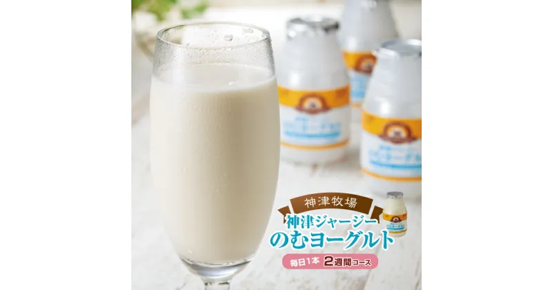 【ふるさと納税】【神津牧場】ジャージー牛の濃厚ミルクで作った のむヨーグルト150ml ×15本 ≪毎日1本2週間コース≫ ジャージー乳 濃厚 健康 習慣 腸活 飲料 乳製品 F21K-310