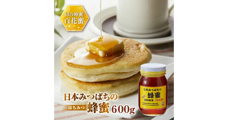 【ふるさと納税】日本みつばちの蜂蜜600g ミツバチ 蜜蜂 希少 幻 パンケーキ 紅茶 スイーツ 花 まろやか 純国産 F21K-043