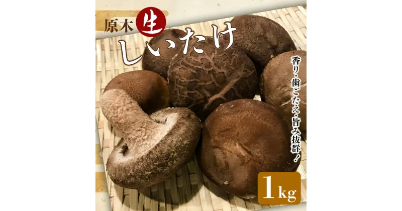 【ふるさと納税】昔なつかしい 原木生しいたけ 椎茸 シイタケ 濃厚 香り 旨みたっぷり だし うまみ ワンランク上 F21K-012