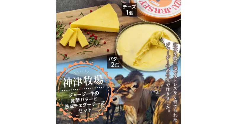 【ふるさと納税】【神津牧場】ジャージー牛の濃厚ミルクで作った発酵バター2個450g と熟成チェダーチーズ100g セット 詰め合わせ 詰合せ ワイン ペアリング ジャージー乳 乳製品 F21K-307