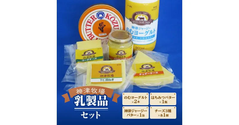 【ふるさと納税】【神津牧場】ジャージー牛の濃厚ミルクで作った乳製品セット≪発酵バター・のむヨーグルト・チーズ3種（チェダー・ゴーダ・下仁田ねぎ）・はちみつバター≫詰合せ ジャージー乳 乳製品 F21K-311