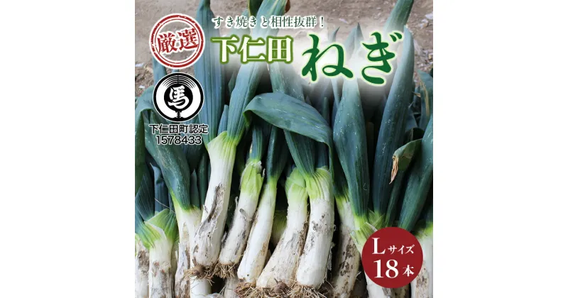 【ふるさと納税】厳選！下仁田葱（Lサイズ 18本） とろける 甘い ねぎ ネギ 王様ねぎ 特産 栄養たっぷり ブランド 上州ねぎ すきやき F21K-082