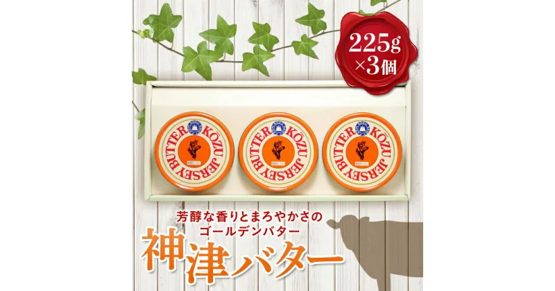 【ふるさと納税】【神津牧場】ジャージー牛の濃厚ミルクで作った発酵バター225g×3缶セット ジャージー乳 濃厚 乳製品 F21K-312