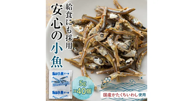 【ふるさと納税】給食使用で安心の私は小魚でーす おやつ お菓子 カルシウム いわし 骨 プレママ まるごと 子供 こども F21K-215