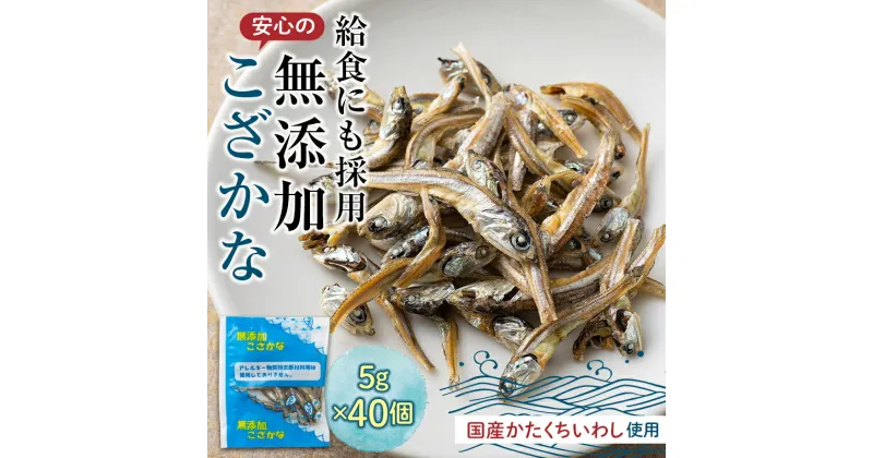 【ふるさと納税】給食使用で安心の無添加こざかな おやつ カルシウム いわし 骨 プレママ こども F21K-218