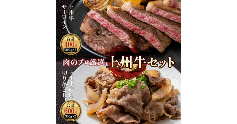 【ふるさと納税】肉のプロが厳選 上州牛セット（サーロイン・切り落とし） 約1kg 贅沢 ブランド 和牛 記念日 F21K-213