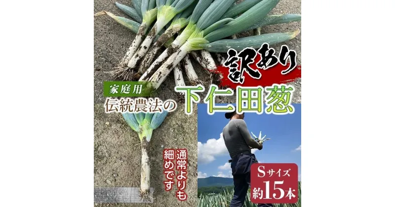 【ふるさと納税】訳あり（家庭用）伝統農法の下仁田葱 Sサイズ15本 とろける 甘い ねぎ ネギ 王様ねぎ 殿様ねぎ 特産 栄養たっぷり ブランド 上州ねぎ すきやき 野菜 F21K-182