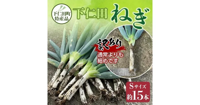 【ふるさと納税】訳あり（家庭用）下仁田町特産「下仁田ねぎ」Sサイズ15本 とろける 甘い ねぎ ネギ 葱 王様ねぎ 殿様ねぎ 特産 栄養たっぷり ブランド 上州ねぎ すきやき F21K-184