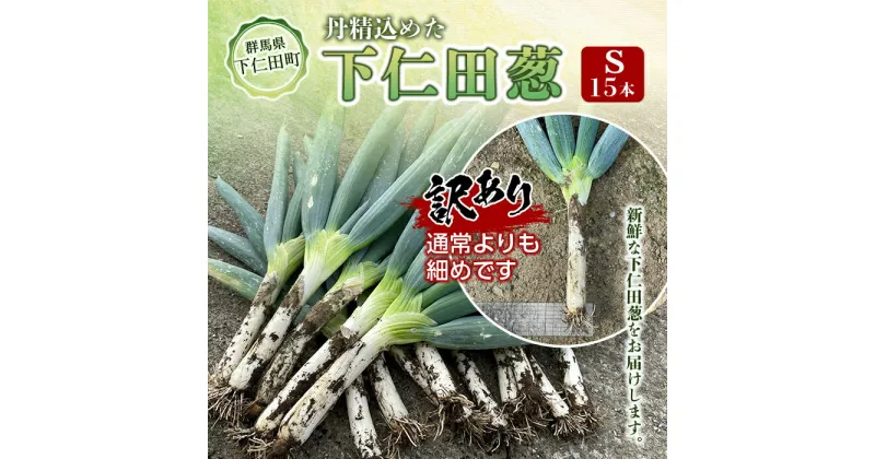 【ふるさと納税】訳あり（家庭用）丹精込めた下仁田葱 Sサイズ15本 とろける 甘い ねぎ ネギ 王様ねぎ 殿様ねぎ 特産 栄養たっぷり ブランド 上州ねぎ すきやき F21K-185