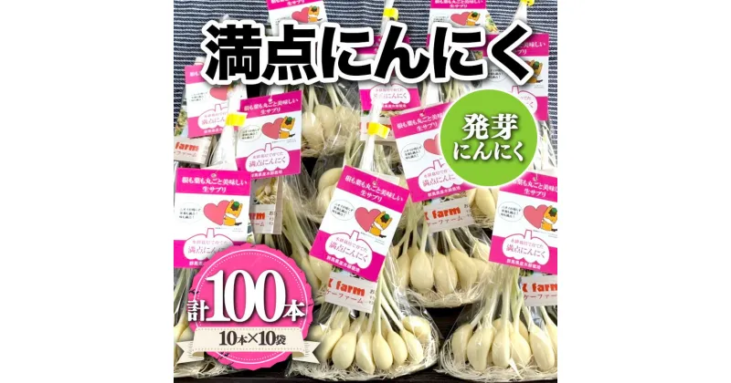 【ふるさと納税】 満点にんにく (発芽にんにく) 60〜70g(10本)×10袋 栄養 スタミナ 免疫力 風邪予防 F21K-251