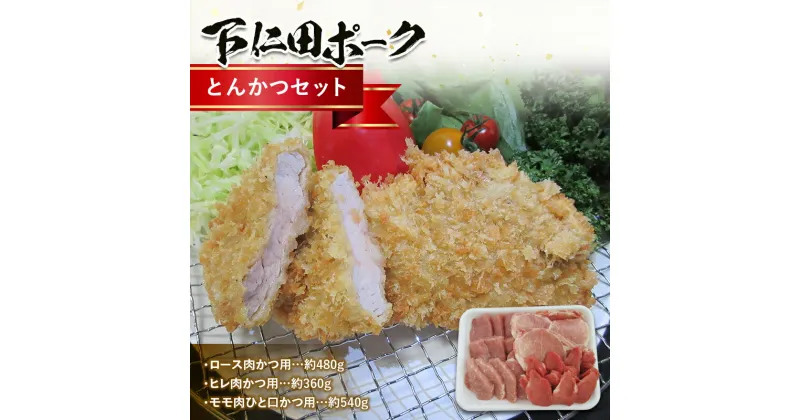 【ふるさと納税】ブランド豚「下仁田ポーク」とんかつセット ジューシー ロース肉かつ用 ヒレ肉かつ用 モモ肉ひと口かつ用 食べ比べ 豚肉 F21K-226