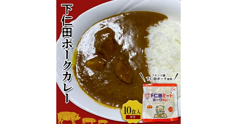 【ふるさと納税】ブランド豚「下仁田ポーク」下仁田ポークカレー（中辛）10食入 安心 安全 ブランド ジューシー 飼養管理 脂身が甘い 臭みが少ない ヘルシー レトルト 簡単 便利 F21K-291