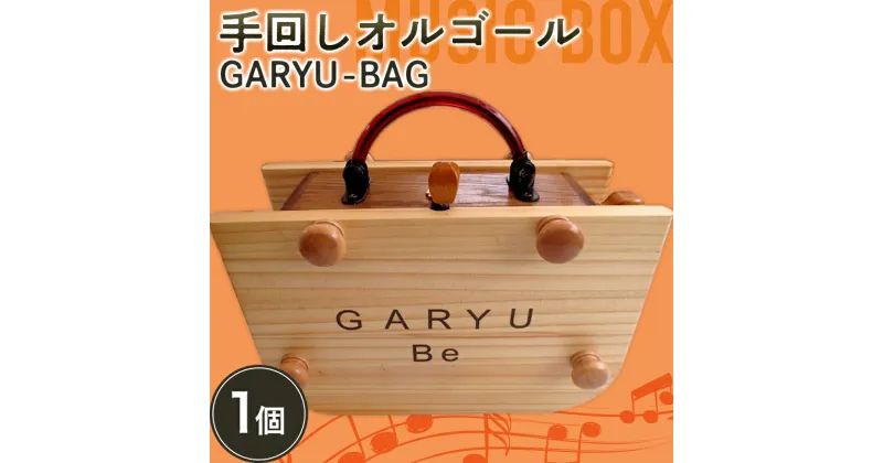 【ふるさと納税】 手回しオルゴールGARYU-BAG 楽器 オルゴール 手回し F21K-296