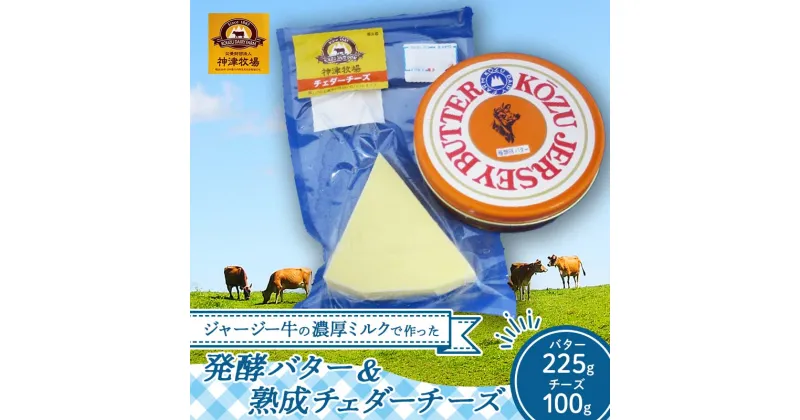 【ふるさと納税】 ジャージー牛の濃厚ミルクで作った発酵バター1つと熟成チェダーチーズ100gセット ワイン ペアリング ジャージー乳 F21K-304