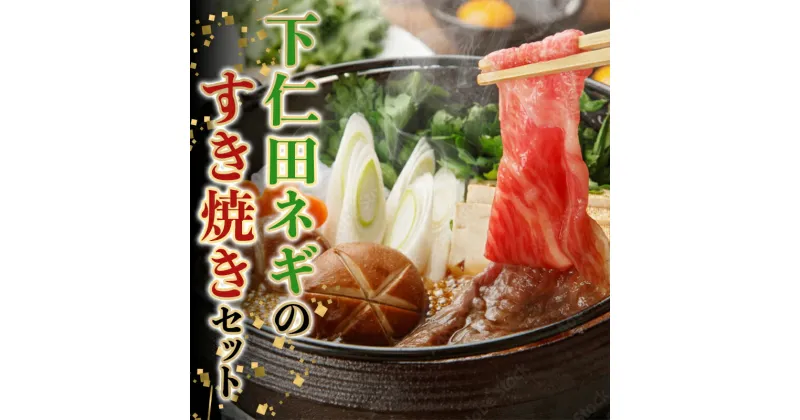 【ふるさと納税】 下仁田ネギのすき焼きセット TS すきやき スキヤキ 記念日 お祝い 牛 牛肉ビーフ 食品 F21K-409