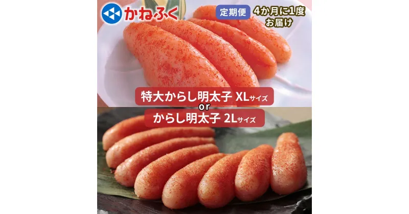 【ふるさと納税】[定期便] かねふく 特大からし明太子 1kg『4ヶ月に1度／全3回』｜めんたいパーク 辛子明太子 ギフト おかず 甘楽町 [0113-0114]