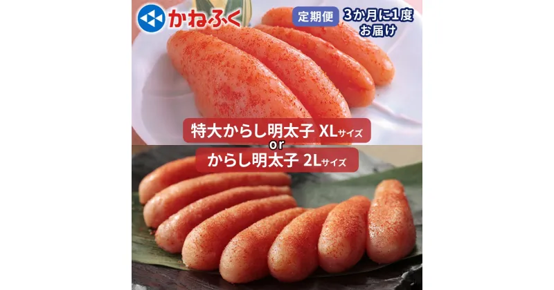 【ふるさと納税】[定期便] かねふく 特大からし明太子 1kg『3ヶ月に1度／全4回』｜めんたいパーク 辛子明太子 ギフト おかず 甘楽町 [0129-0130]