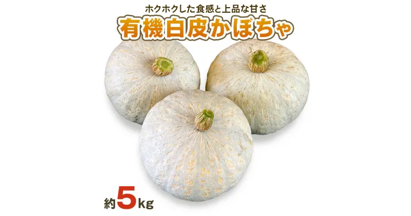 【ふるさと納税】[数量限定／期間限定] 白皮かぼちゃ (有機) 5kg【黒澤農園】｜伯爵 南瓜 カボチャ 国産 産地直送 煮物 サラダ スイーツ 甘楽町産 [0220]