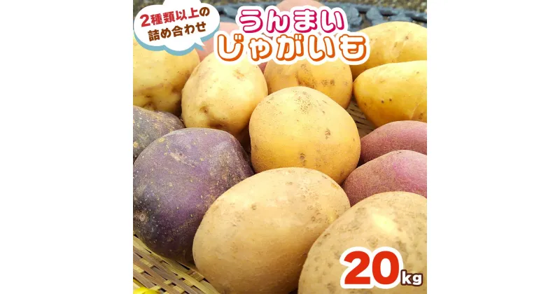 【ふるさと納税】[数量限定／期間限定] うんまいじゃがいも 20kg (2種類以上の詰め合わせ)｜じゃがいも ジャガイモ ポテト 馬鈴薯 とうや ノーザンルビー レッドムーン メークイン 産地直送 農家直送 甘楽町 群馬県 [0221]