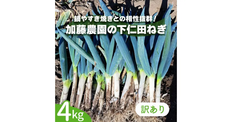 【ふるさと納税】[数量限定]【訳あり】産地直送！加藤農園の下仁田ねぎ 4kg (細め) 2024年12月中旬より順次発送｜先行予約 訳あり品 冬の味覚 下仁田ネギ 鍋 すき焼き 葱 ネギ 殿様ねぎ かき揚げ 国産 群馬県産 甘楽町 産地直送 [0238]