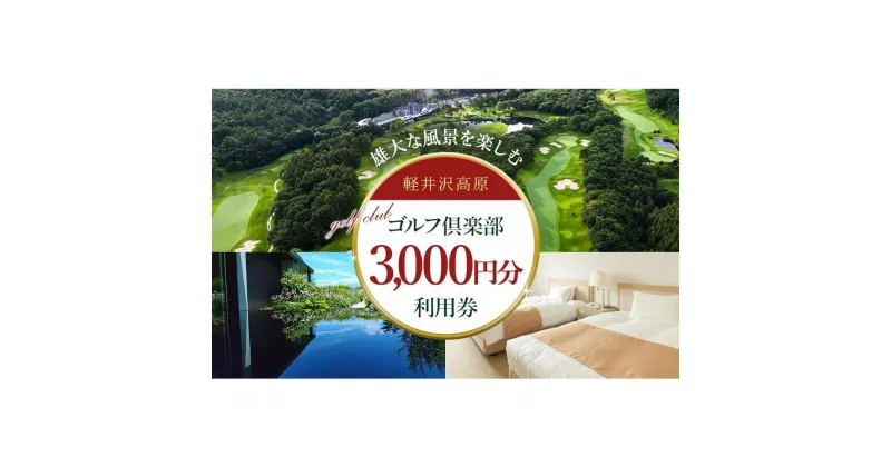 【ふるさと納税】軽井沢高原ゴルフ倶楽部利用券　3,000円券×1枚 | ゴルフ場 プレー プレー券 期間限定 予約 旅行 体験 スポーツ 人気 おすすめ GOLF 割引 チケット 施設利用券 長野原 群馬県 アウトドア ボール 楽しさに 訳あり