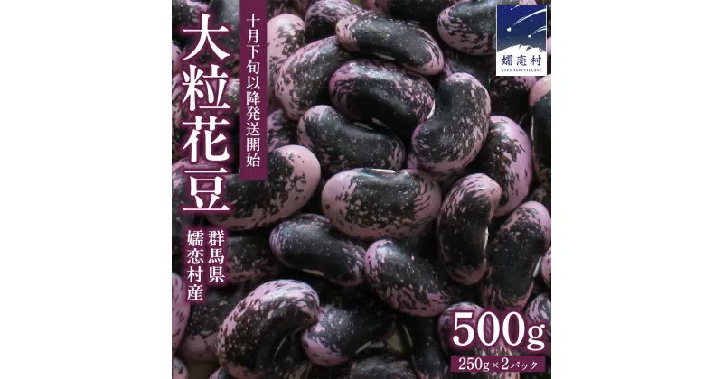 【ふるさと納税】 嬬恋村浅間高原特産 【大粒】乾燥花豆500g 花まめ 花豆 群馬 黒豆 煮豆 おせち