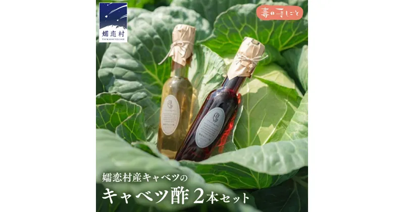 【ふるさと納税】キャベツ酢2本セット 酢 調味料 ダイエット 酢キャベツ おすすめ ダイエット