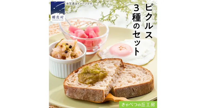 【ふるさと納税】ピクルス 3種 の セット 惣菜 洋風惣菜 常備菜 野菜 サラダ セット ギフト 贈答用 熨斗