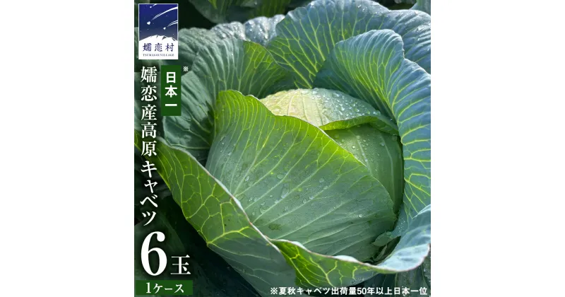 【ふるさと納税】嬬恋産 高原 キャベツ 6玉 1ケース 旬の野菜 嬬恋キャベツ きゃべつ 産地直送 群馬 お取り寄せ 野菜 セット Lサイズ