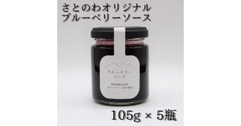 【ふるさと納税】ブルーベリーソース＊105g × 5瓶