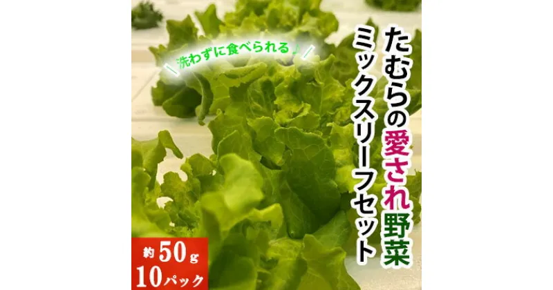 【ふるさと納税】洗わずに食べられる！たむらの愛され野菜　ミックスリーフセット　10個　野菜・洗わずに食べられる・サラダ野菜