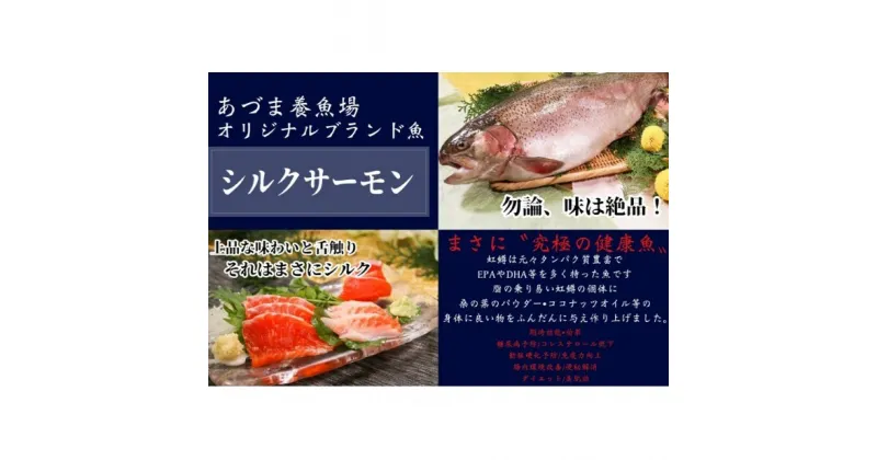 【ふるさと納税】シルクサーモン漬けセット(GUNMA)　魚貝類・鱒・ます・サーモン漬け・シルクサーモン