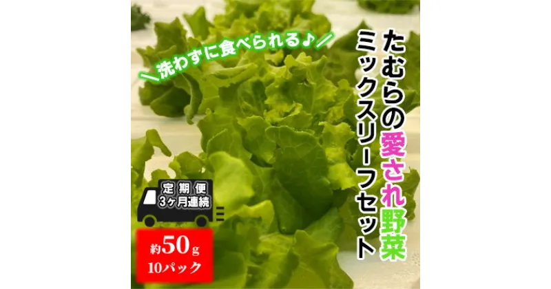 【ふるさと納税】【定期便 3ヶ月連続】洗わずに食べられる！たむらの愛され野菜 ミックスリーフセット　10個　定期便・ 時短 サラダ 栽培期間中無農薬 安心 安全 3種類以上の野菜 ミックス野菜 サラダ野菜 すぐ食べられる 国産 群馬県産