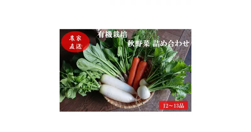 【ふるさと納税】有機栽培 秋野菜 詰め合わせ 群馬県産 東吾妻 有機JAS 認証取得 秋 野菜 やさい 詰合せ 旬　 野菜セット 国産 国産野菜 ほうれん草 人参 小松菜 大根 さつまいも 春菊 かぶ 　お届け：2024年11月上旬～12月上旬まで