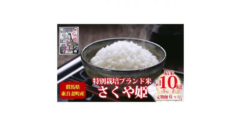 【ふるさと納税】【定期便 6ヶ月】東吾妻町産 特別栽培ブランド米 さくや姫 10kg お米 良質 水 国際大会 受賞 希少 金賞 美味しい 令和6年10月～発送予定　定期便・ 精米 白米 ご飯 おにぎり お弁当 和食 産地直送 国産 　お届け：2024年10月中旬～2025年7月中旬まで