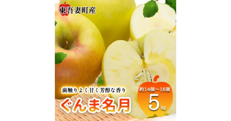 【ふるさと納税】東吾妻町産 りんご ぐんま名月　5kg(14個から16個）リンゴ アップル 果物類 フルーツ 果物　 果汁豊富 食後 デザート おやつ 群馬県産りんご 芳醇な香り 甘い 　お届け：2024年11月10日～12月20日まで