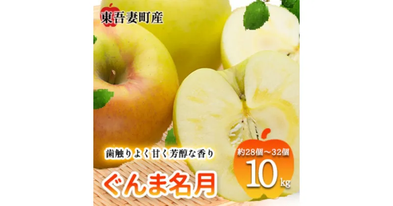 【ふるさと納税】東吾妻町産 りんご ぐんま名月 10kg(28個から32個） リンゴ アップル 果物類 フルーツ 果物　 果汁豊富 食後 デザート おやつ 群馬県産りんご 芳醇な香り 甘い 　お届け：2024年11月15日～12月20日まで