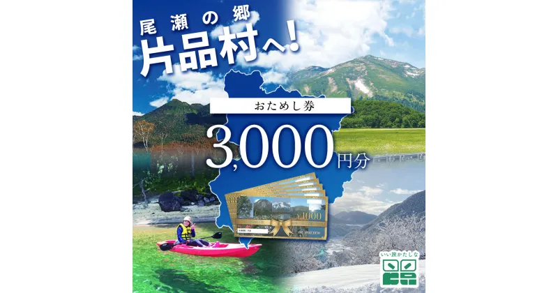 【ふるさと納税】おためし券 (道の駅 尾瀬かたしな・花の駅 花咲の湯・寄居山温泉 ほっこりの湯) 3,000円分 尾瀬 旅行 旅行券 宿泊 宿泊券 トラベル トラベルクーポン 観光