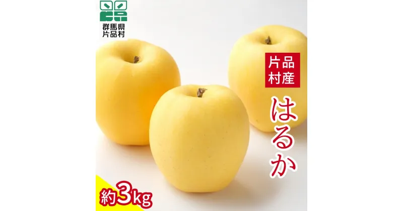 【ふるさと納税】片品村 りんご はるか 約3kg リンゴ 林檎