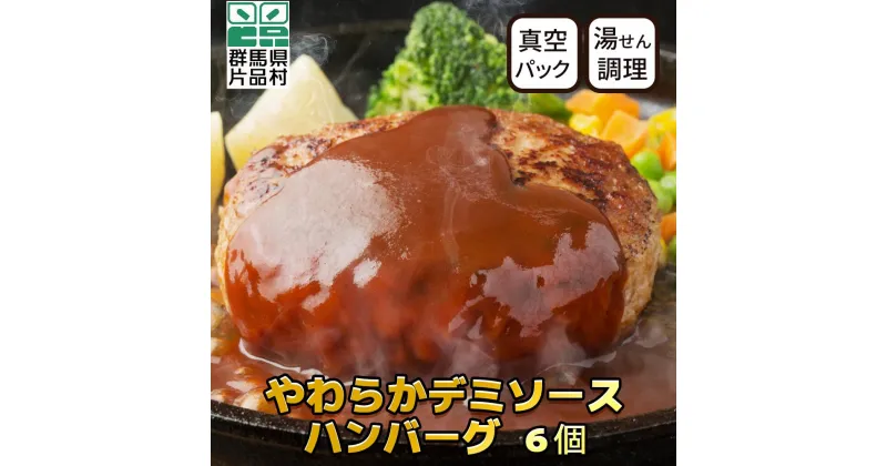 【ふるさと納税】やわらかデミソースハンバーグ 6個セット 温めるだけ 冷凍 簡単 レトルト 湯煎 湯せん 個包装