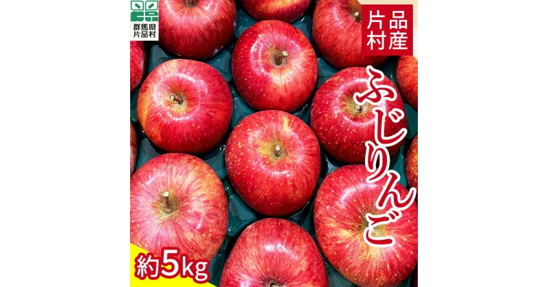 【ふるさと納税】尾瀬の郷 片品村産 ふじりんご 約5kg リンゴ 林檎 ふじ