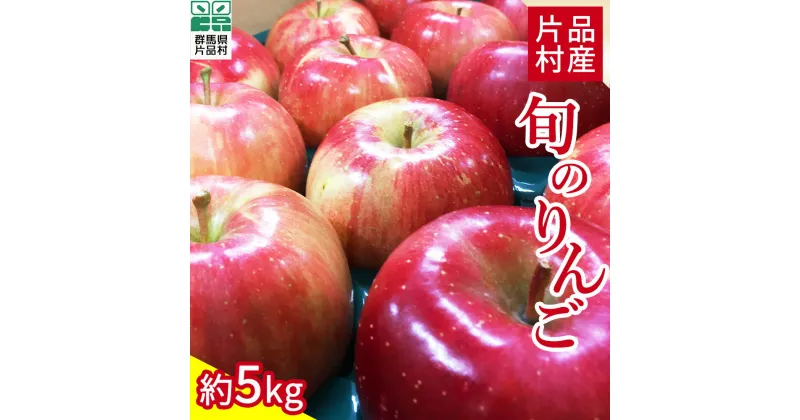 【ふるさと納税】尾瀬の郷 片品村産 旬のリンゴおまかせセット 約5kg