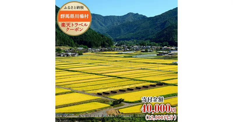 【ふるさと納税】群馬県川場村の対象施設で使える楽天トラベルクーポン　寄附額40,000円（クーポン額12,000円）