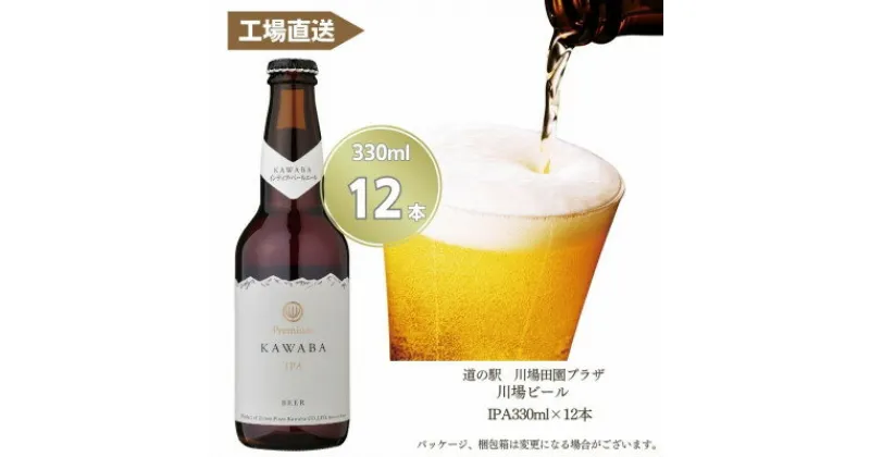 【ふるさと納税】IPA　12本セット【1446343】