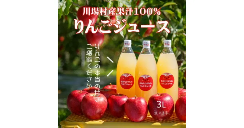 【ふるさと納税】【川場村直送】ストレートりんごジュース1000ml×3本入り【1492868】